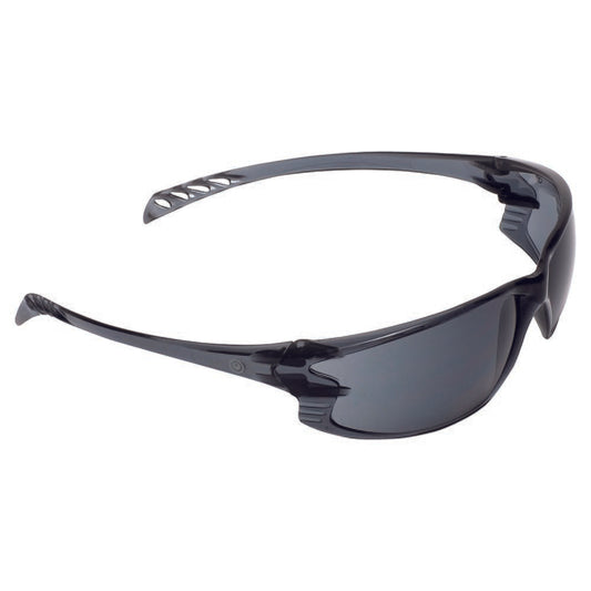 Pro Choice Series Safety Glasses (990)