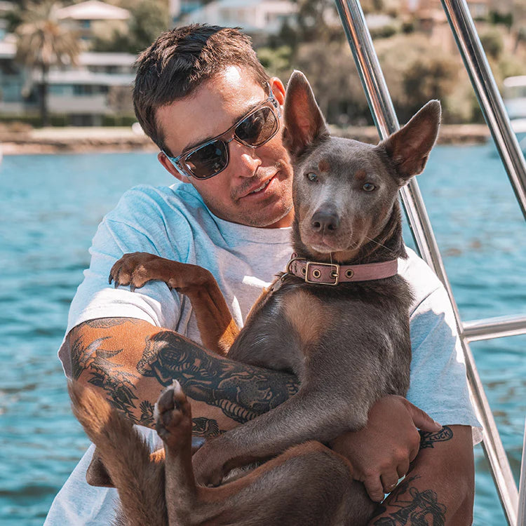 Safestyle Fusions 3-pack Combo (SFU181-260400)