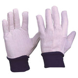 Pro Choice Cotton Drill With Blue Knitted Wrist Pair of 12 (CDB10)